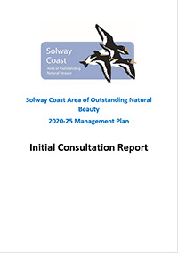 Initial Consultation Report