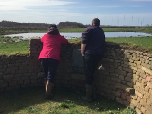 Writing Wild - Creative writing using wildlife as inspiration @ RSPB Campfield Marsh